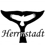 Steven Herrnstadt